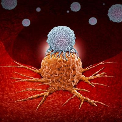 Cover image for research topic "Local and Traditional Medicine in Regulation of the Cancer Immune Suppression Microenvironment"
