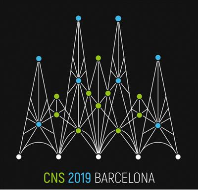 Cover image for research topic "Advances in Computational Neuroscience"