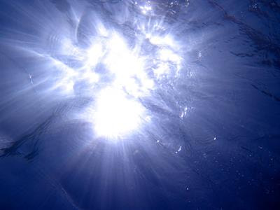 Cover image for research topic "Climate Change and Light in Aquatic Ecosystems: Variability & Ecological Consequences"