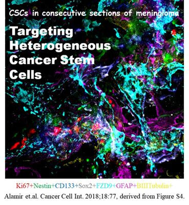 Cover image for research topic "Advances in Cancer Stem Cell Biology"