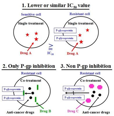 Cover image for research topic "FDA-approved Drug Repositioning for P-glycoprotein Overexpressing Resistant Cancer"