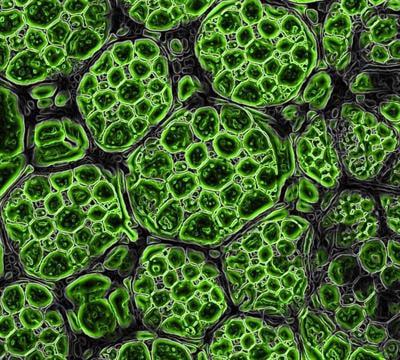 Cover image for research topic "Smart Strategies to Reuse Natural Materials as Drug Delivery Platforms"