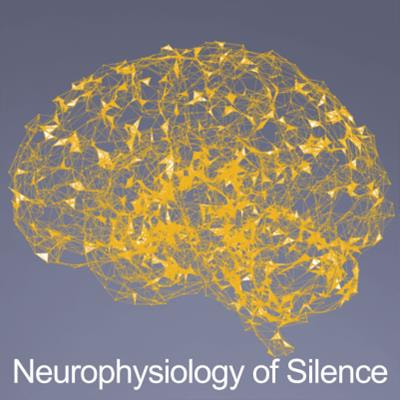 Cover image for research topic "Neurophysiology of Silence: Neuroscientific, Psychological, Educational and Contemplative Perspectives"
