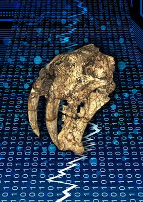 Cover image for research topic "Evolving Virtual and Computational Paleontology"
