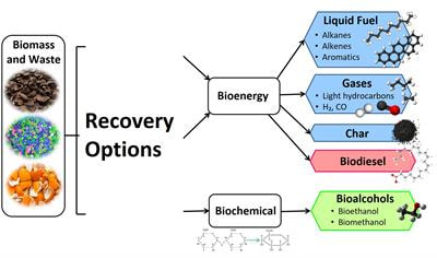 Cover image for research topic "Energy and Resource Valorisation of Biomass and Waste towards Sustainable Environment via Thermochemical and Biological Application"