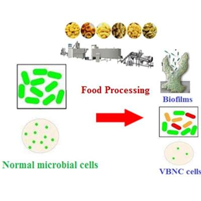 Cover image for research topic "Emerging Frontiers in the Formation of Viable but Non-Culturable Microorganisms and Biofilms During Food Processing"