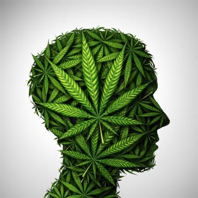 Cover image for research topic "Gone to Pot: Examining the Association Between Cannabis Use and Medical/Psychiatric Disorders"