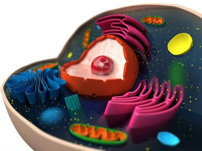 Cover image for research topic "Metabolic Plasticity of Cancer"