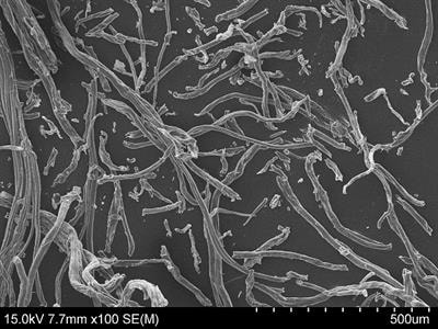 Cover image for research topic "Recent Trends in Preparation, Characterization and Applications of Nanocellulose "