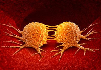 Cover image for research topic "Role of Metabolic Remodeling in Cancer-Associated Epithelial-Mesenchymal Transition"