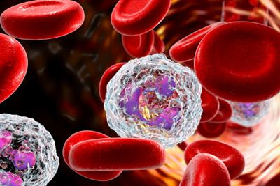 Cover image for research topic "Revisiting the Metastatic Cascade: Putting Myeloid Cells into Context"