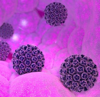 Cover image for research topic "HPV and Host Interaction"