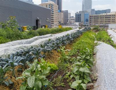 Cover image for research topic "Current Status and Trends in Urban Agriculture"