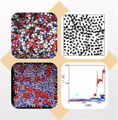 Cover image for research topic "Are There Common Origins in Heterogeneous Dynamics and Structures in Ionic and Non-Ionic Systems?"