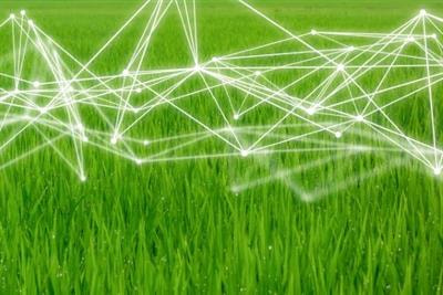 Cover image for research topic "Mathematical Modelling and Complex Systems in Agroecology"