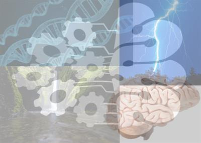 Cover image for research topic "Machine Learning in Natural Complex Systems"