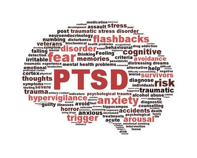 Cover image for research topic "Psychiatric Disorder in Veterans"