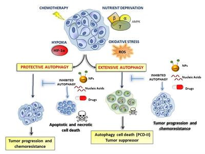 Cover image for research topic "Novel Cancer Treatments based on Autophagy Modulation"