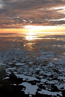 Cover image for research topic "Biogeochemical Consequences of Climate-Driven Changes in the Arctic"
