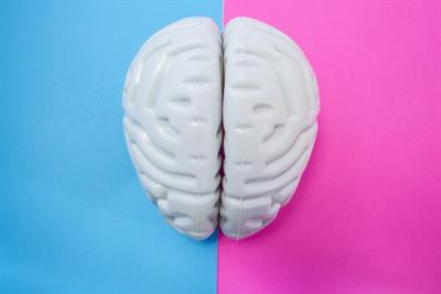 Cover image for research topic "Considering Biological Sex in Neurological Research"