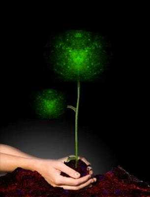 Cover image for research topic "Revisiting Seed and Soil: A New Approach to Target Hibernating Dormant Tumor Cells"