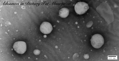 Cover image for research topic "Advances in Dietary Fat Absorption"
