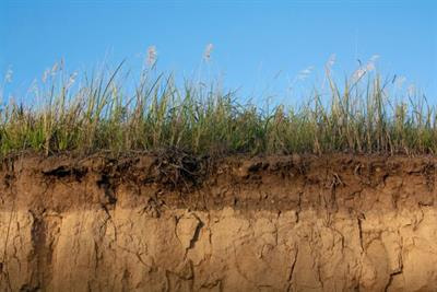 Cover image for research topic "Sustaining Soil Carbon to Enhance Soil Health, Food, Nutritional Security, and Ecosystem Services"