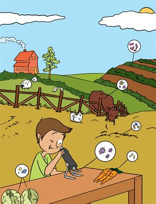 Cover image for research topic "Tiny Microbes, Big Yields: The Future of Food and Agriculture"