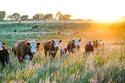 Cover image for research topic "Converging Communities of Practice – Method & Concept Developments in Regional Eco-Agro-Food Systems"