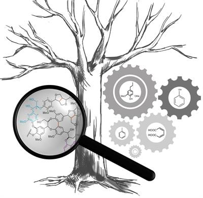 Cover image for research topic "Advances in the Structural Elucidation and Utilization of Lignins"