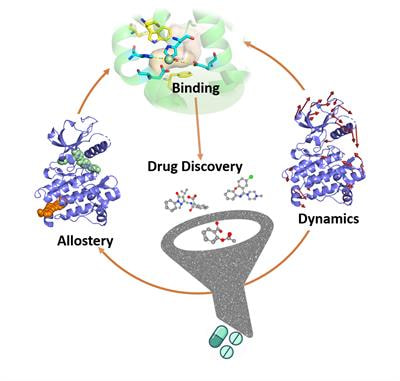 Cover image for research topic "Understanding Protein Dynamics, Binding and Allostery for Drug Design"