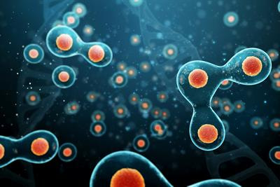 Cover image for research topic "Breaking Through Barriers: Modeling and Simulation of Interface Problems in Biology"