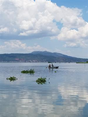 Cover image for research topic "Holocene Climate Changes in the Asia-Pacific Region"