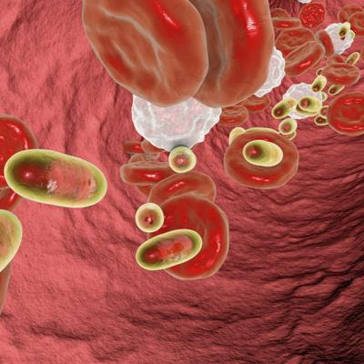 Cover image for research topic "Advances and Challenges of Carrier Architectures for Bioactive Delivery Systems"