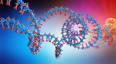 Cover image for research topic "Transcriptional Regulation as a Key Player in Cancer Cells Drug Resistance"