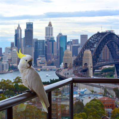 Cover image for research topic "Cognition and Adaptation to Urban Environments"