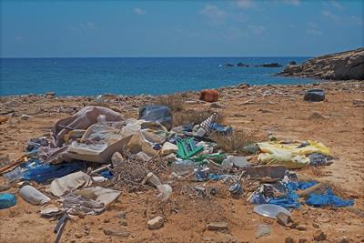 Cover image for research topic "Plastics in the Environment: Understanding Impacts and Identifying Solutions"