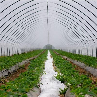 Cover image for research topic "Introgression Breeding in Cultivated Plants"