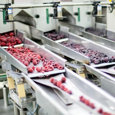 Cover image for research topic "The Effects of Food Processing on Food Components and Their Health Functions"