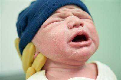 Cover image for research topic "Neonatal Procedural Pain Management"