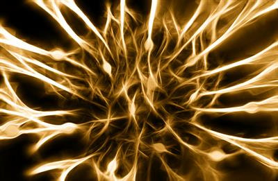Cover image for research topic "Stem Cell Systems Bioengineering"