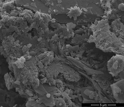 Cover image for research topic "Bridging Environmental Magnetism with Biogeophysics to Study Biogeochemical Processes of Today"