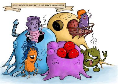 Cover image for research topic "The Biofilm Lifestyle of Uropathogens"