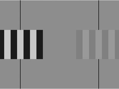 Cover image for research topic "The Venetian blind effect and the mechanisms of early stereopsis"