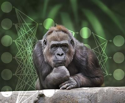 Cover image for research topic "Applications of Machine Learning to Evolutionary Ecology Data"
