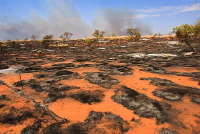 Cover image for research topic "Fire Regimes in Desert Ecosystems: Drivers, Impacts and Changes"