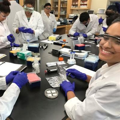 Cover image for research topic "Tools, Techniques, and Strategies for Teaching in a Real-World Context with Microbiology"