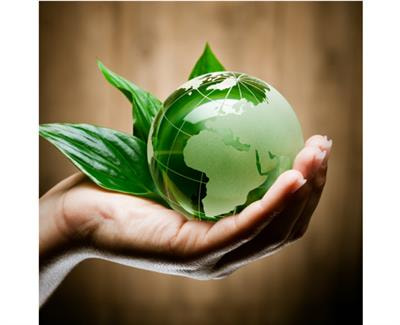 Cover image for research topic "Mind the Sustainable Food: New Insights in Food Psychology"