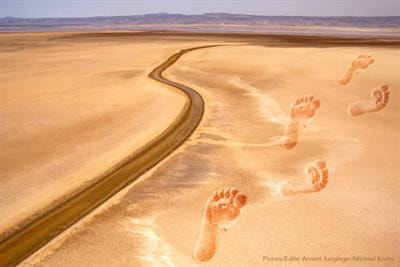 Cover image for research topic "Integrating Paleoclimate, Stratigraphy, Sedimentology & Paleontology in Human Evolution and Dispersal Studies - from Early Hominins to the Holocene"