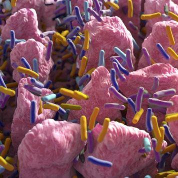 Cover image for research topic "New Techniques in Microbiome Research"